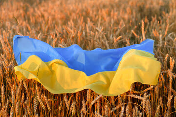 سرنوشت غلات اوکراین/نگرانی جهانی