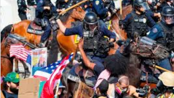 جنگ سیاسی داخلی در آمریکا با کلیدواژه «نه به پادشاهی»